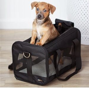 Amazon Basics Soft-Sided Mesh Pet Travel Carrier for Dog, Cat, Medium